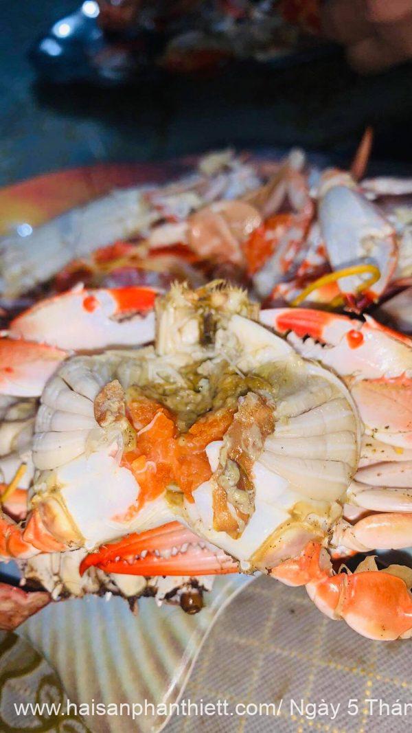 Ghe Xanh Do Phan Thiet My Tam Phan Thiet
