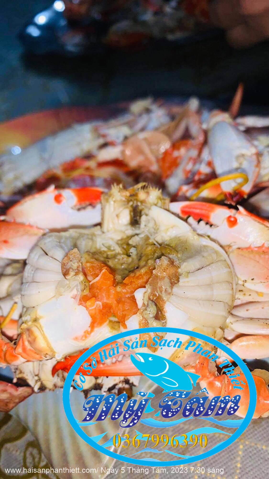 Ghe Xanh Do Phan Thiet My Tam Phan Thiet Ghe Xanh Do Phan Thiet My Tam Phan Thiet