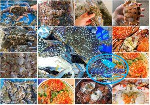 Hai San My Tam Phan Thiet