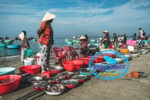 Hai San Phan Thiet