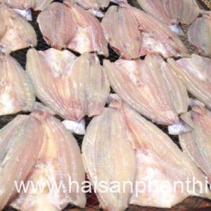 Diem Ban Ca Dua Tai Phan Thiet. Hai San Uy Tin My Tam Tai Phan Thiet