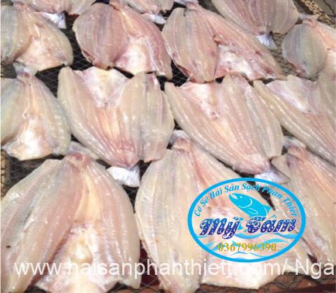 Diem Ban Ca Dua Tai Phan Thiet. Hai San Uy Tin My Tam Tai Phan Thiet Diem Ban Ca Dua Tai Phan Thiet. Hai San Uy Tin My Tam Tai Phan Thiet