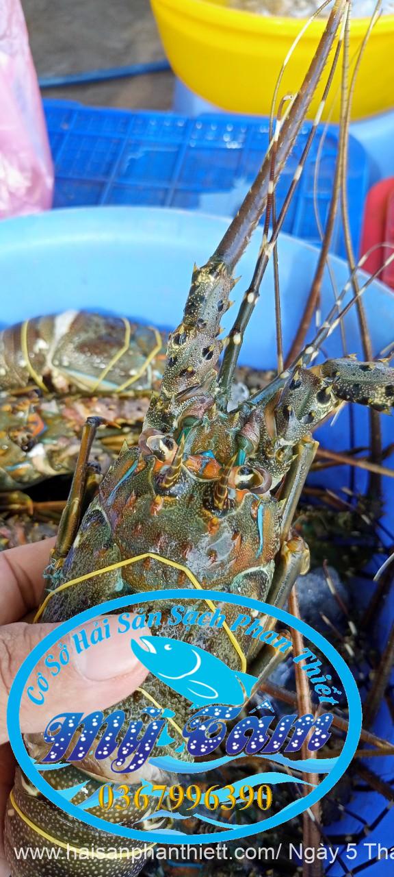 Tom Hum Phan Thiet Tom Hum Phan Thiet