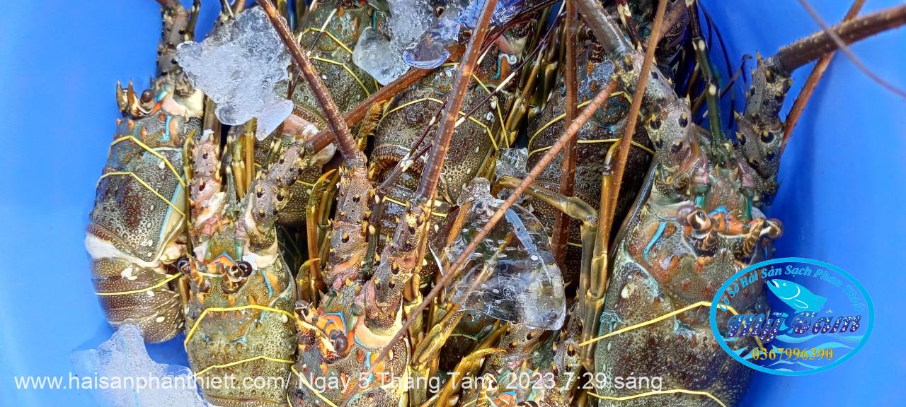 Tom Hum Phan Thiet Tom Hum Phan Thiet