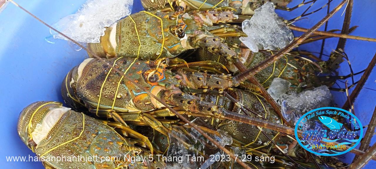 Tom Hum Phan Thiet Tom Hum Phan Thiet