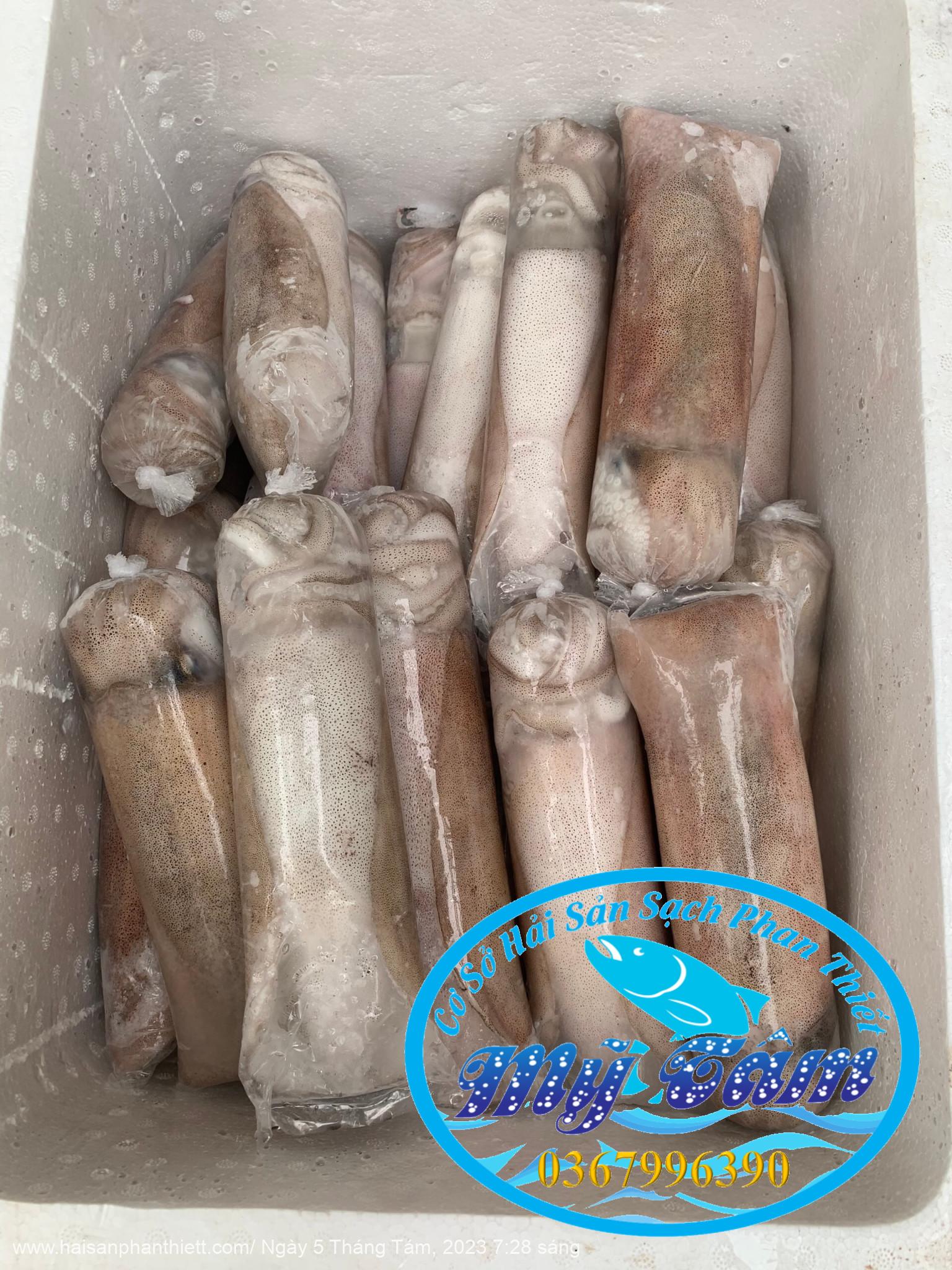 Muc Nang Phan Thiet Muc Nang Phan Thiet