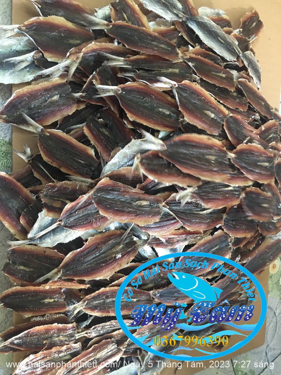 Ca Trich Phi Le (file) (2) Ca Trich Phi Le (file) (2)