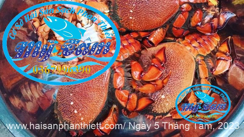 Cua Huynh De Cua Huynh De