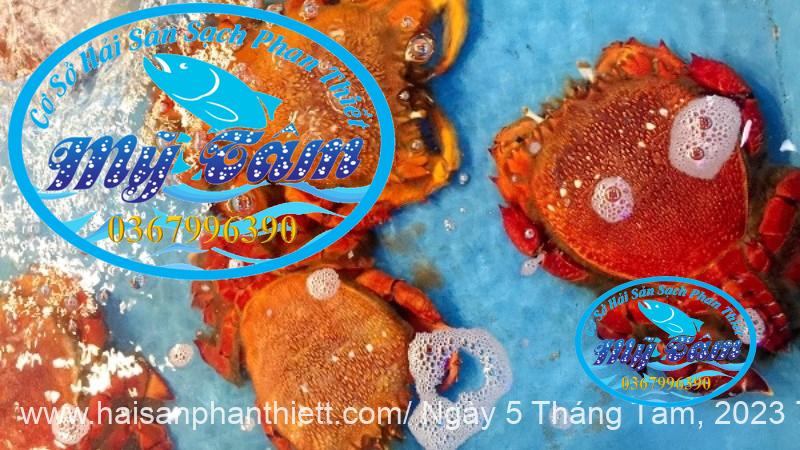 Cua Huynh De Cua Huynh De