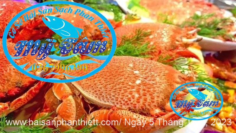 Cua Huynh De Cua Huynh De