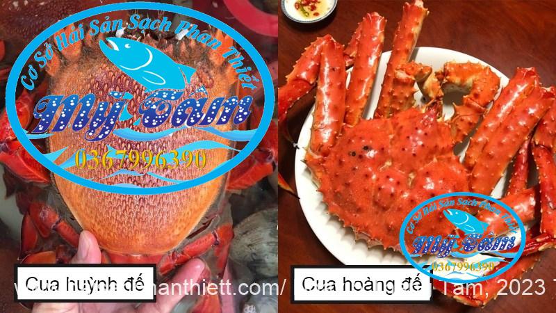 Cua Huynh De Cua Huynh De