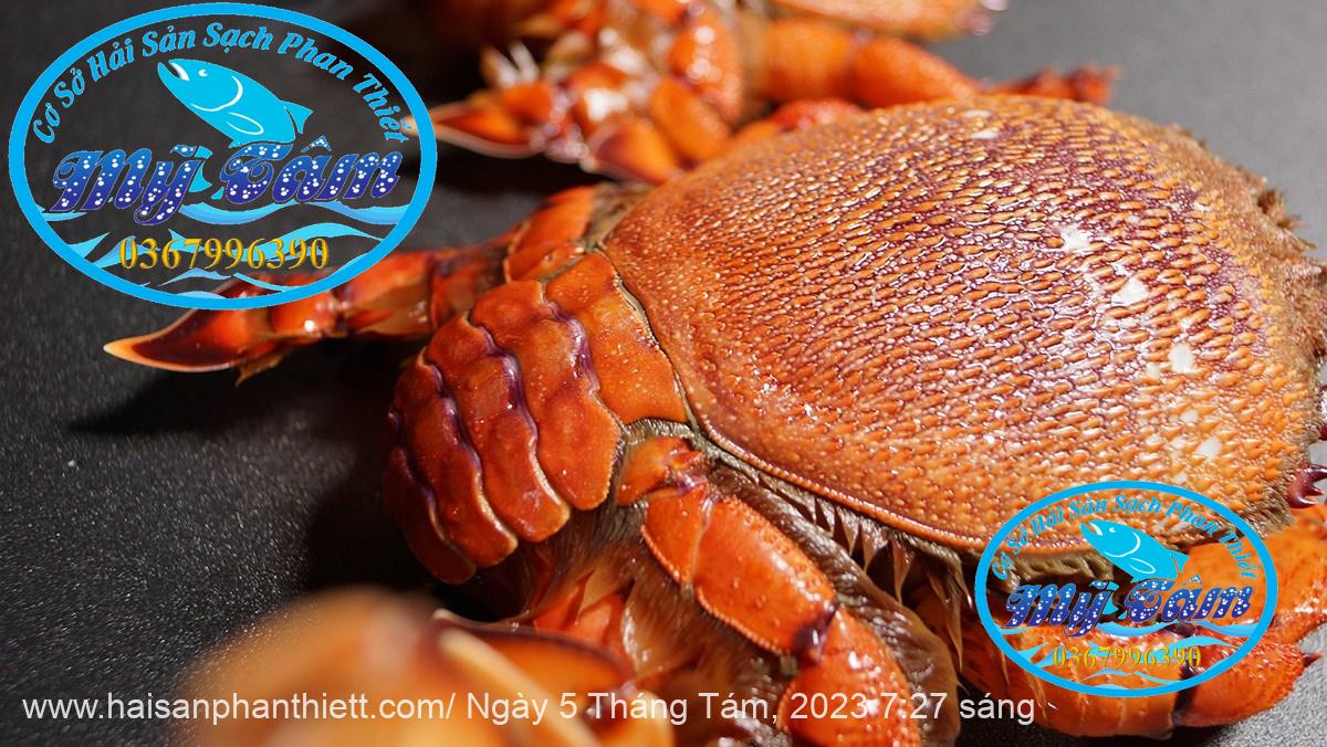 Cua Huynh De Cua Huynh De