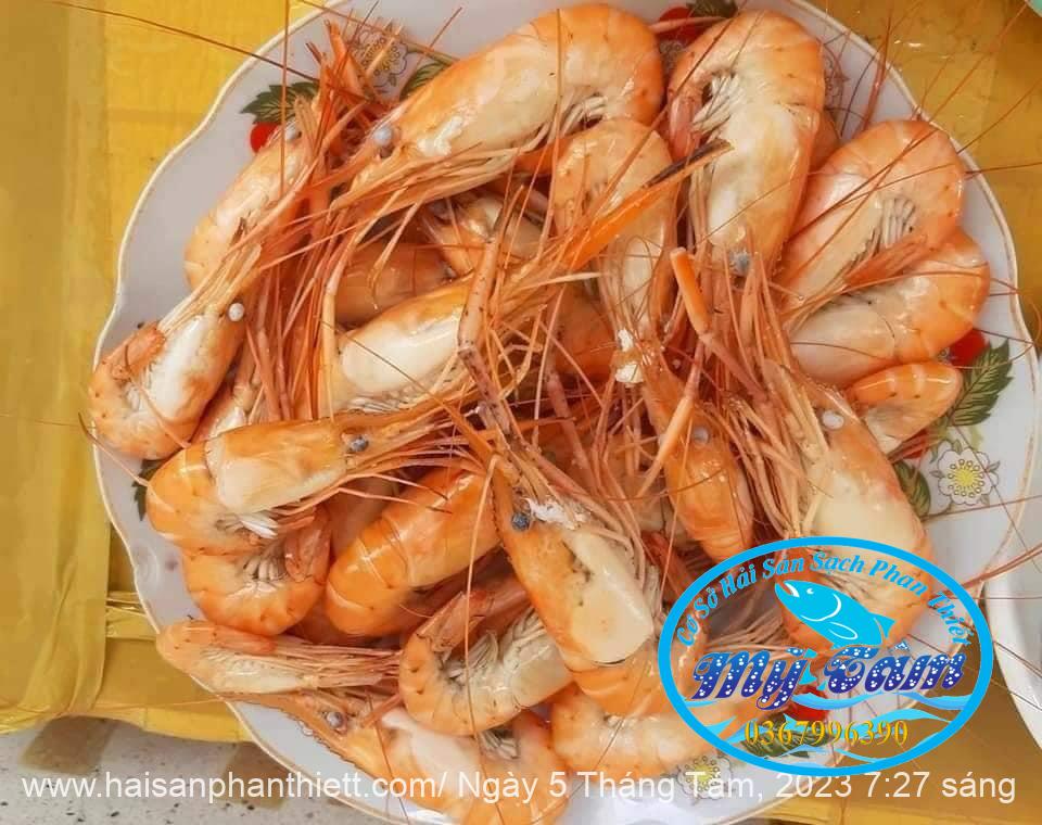 Tom Cang Xanh My Tam Phan Thiet (2) Tom Cang Xanh My Tam Phan Thiet (2)