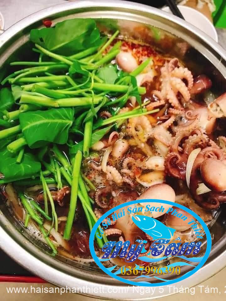 Bach Tuoc Hap (4) Bach Tuoc Hap (4)