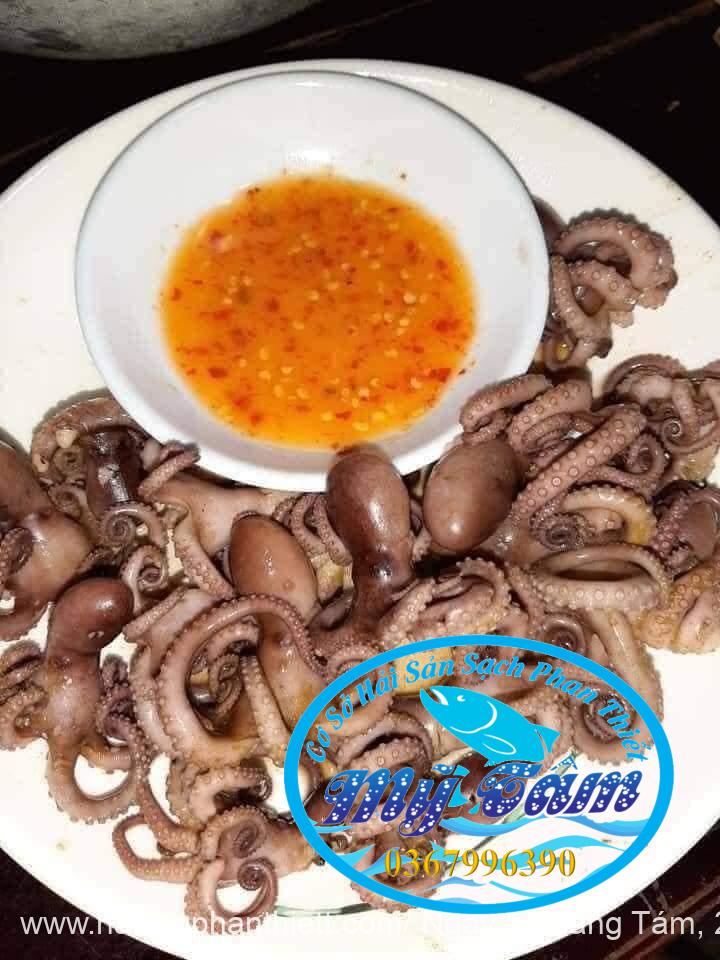 Bach Tuoc Hap (5) Bach Tuoc Hap (5)