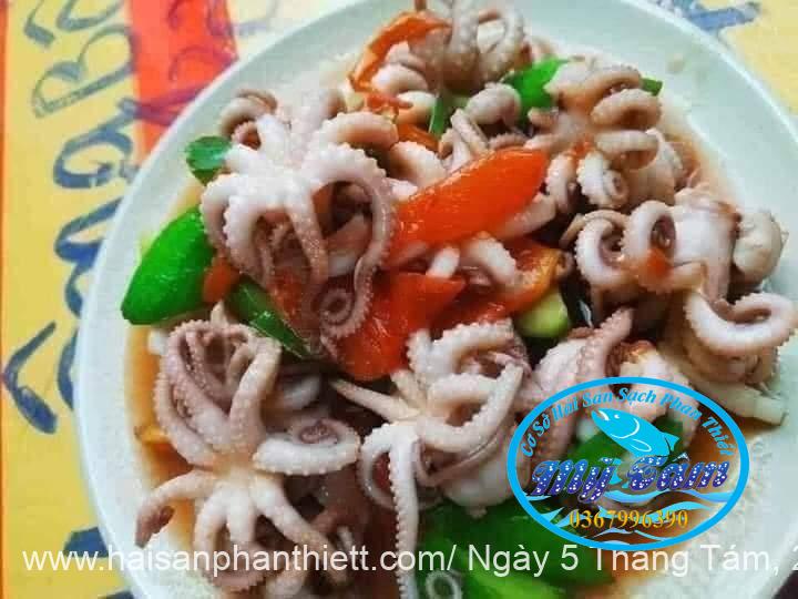 Bach Tuoc Hap (6) Bach Tuoc Hap (6)