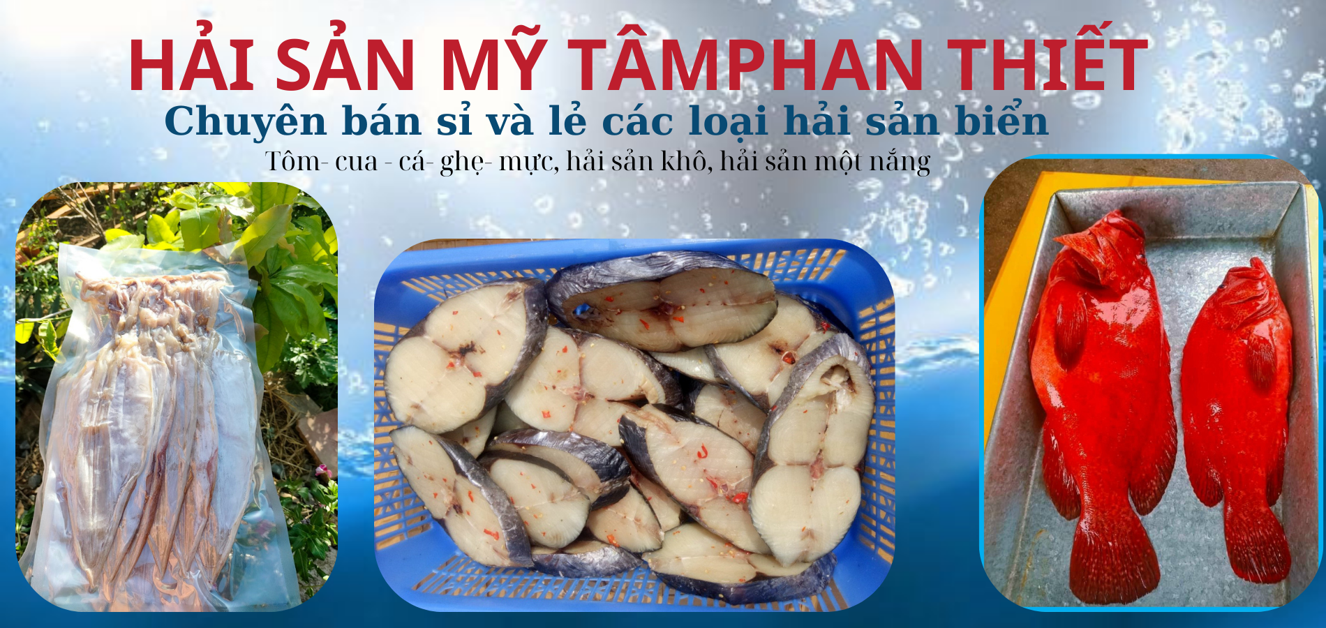 HẢi SẢn MỸ TÂm (1)