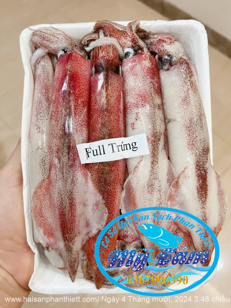 Mực ghim full trứng size 12/up A Phan Thiết liên hệ 0367996390