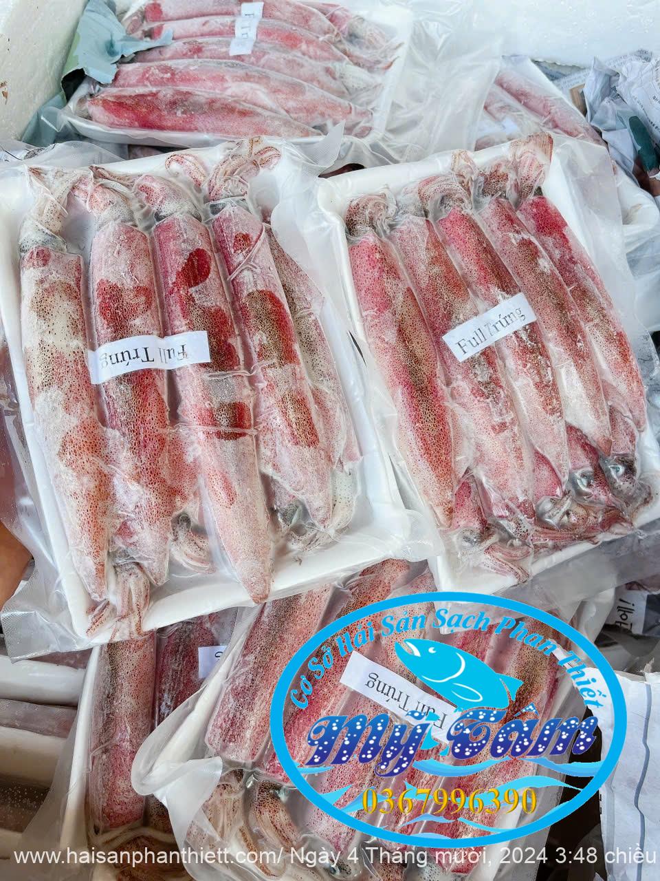 Mực ghim full trứng size 12/up A Phan Thiết liên hệ 0367996390