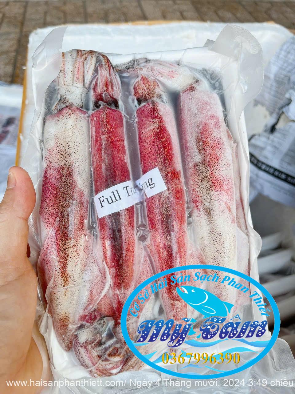 IMG_20241004_074255 (1)