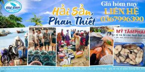 gia-hai-san-my-tam-phan-thiet-hom-nay-ngay-19-07-25